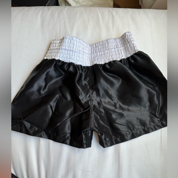 TITLE Boxing Professional Women’s Satin Striped Boxing Trunks - Picture 3 of 6